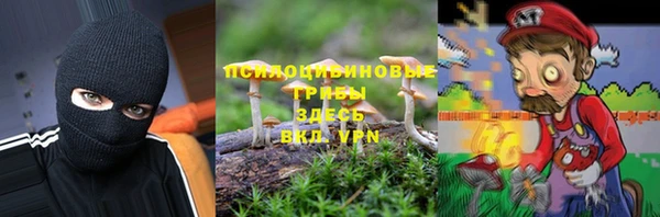 стафф Няндома