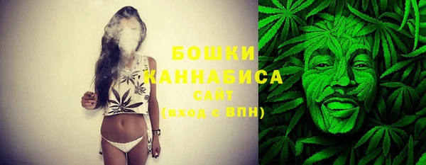 стафф Няндома
