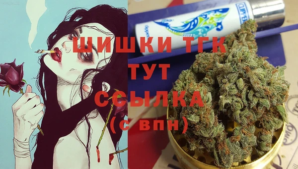 прущие грибы Бикин