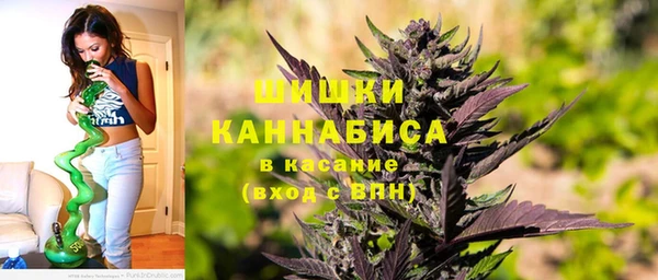 прущие грибы Бикин