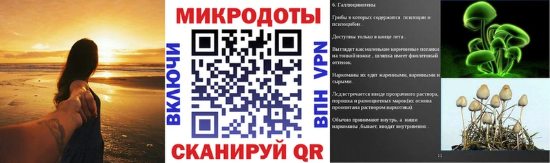 сколько стоит  Плёс  Галлюциногенные грибы Psilocybine cubensis 